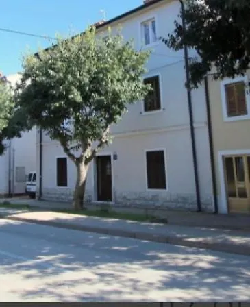 Pet Friendly Murvi 50